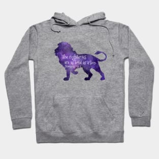 The righteous are as bold as a lion Proverbs 28 1 Hoodie